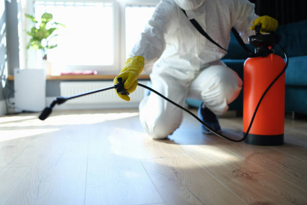 Reliable Blood Cleanup contractor in Daly City, CA by Trauma Clean Pros